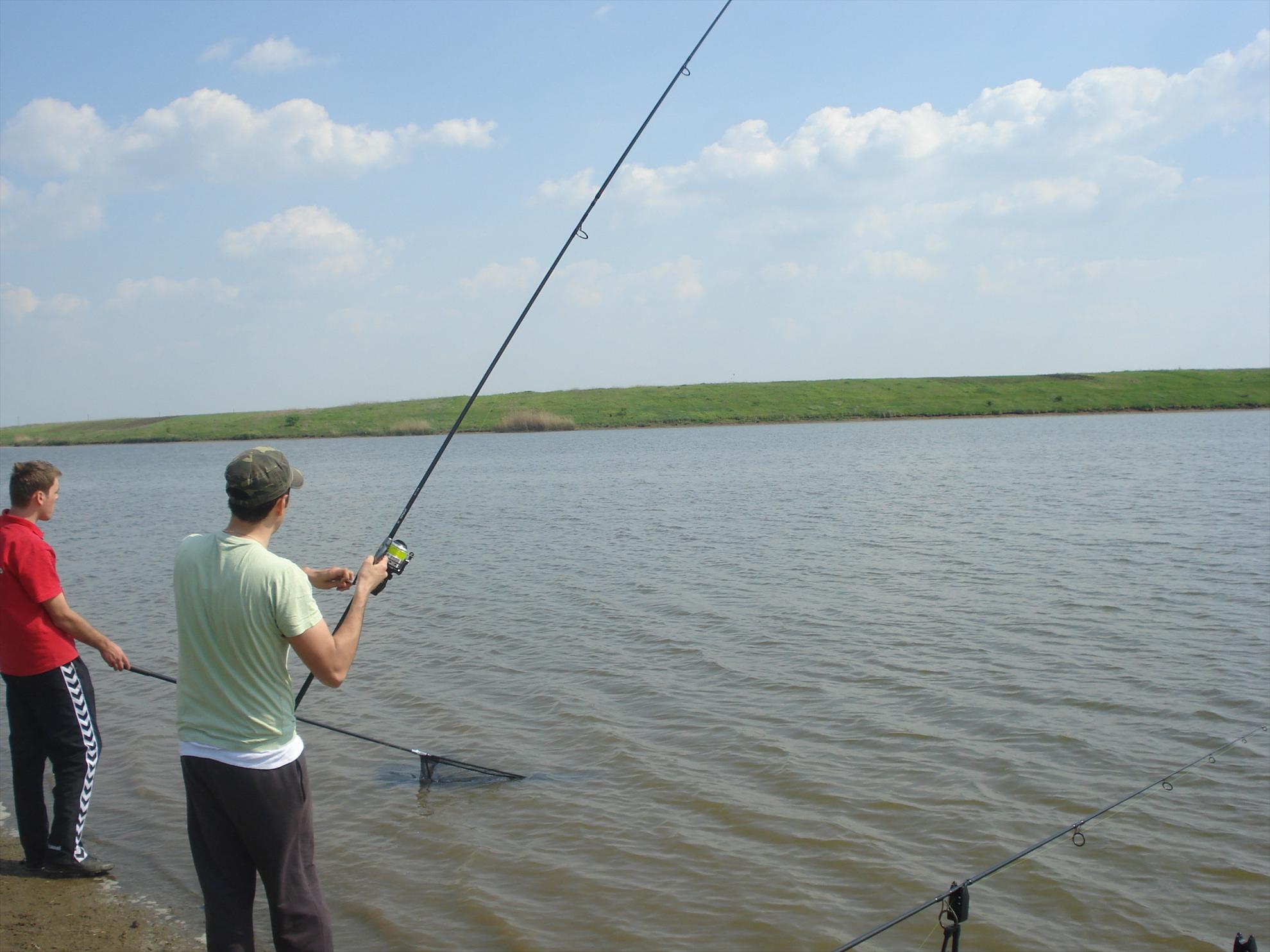 Hobaia - dsc08756.JPG